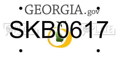 SKB0617 Georgia License Plate