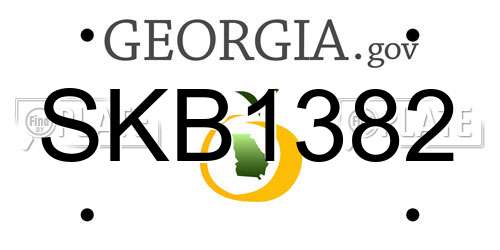 SKB1382 Georgia License Plate