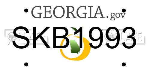 SKB1993 Georgia License Plate