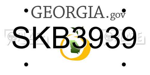 SKB3939 Georgia License Plate