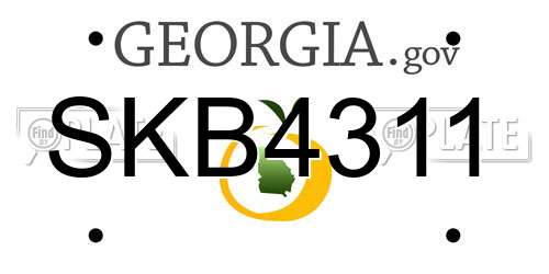 SKB4311 Georgia License Plate