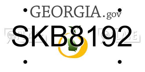 SKB8192 Georgia License Plate