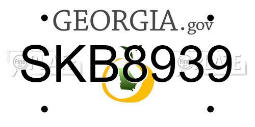 SKB8939 Georgia License Plate