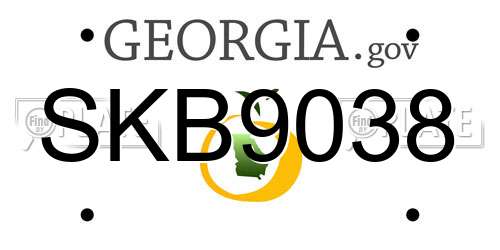 SKB9038 Georgia License Plate