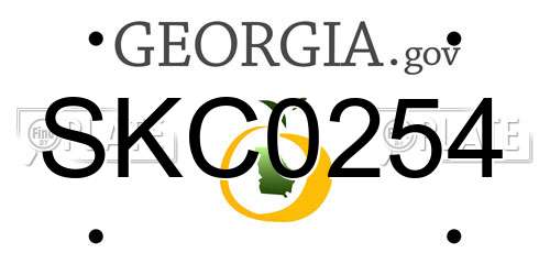SKC0254 Georgia License Plate