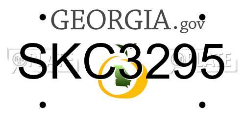 SKC3295 Georgia License Plate