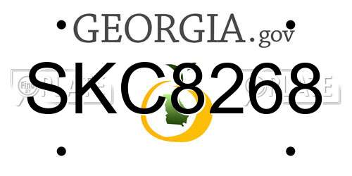 SKC8268 Georgia License Plate