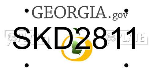 SKD2811 Georgia License Plate
