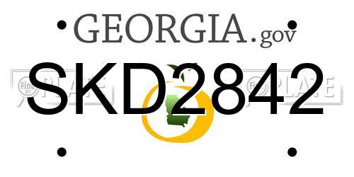SKD2842 Georgia License Plate