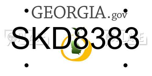 SKD8383 Georgia License Plate