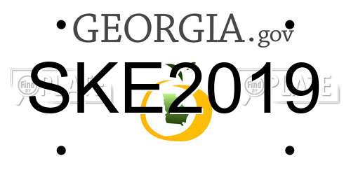 SKE2019 Georgia License Plate
