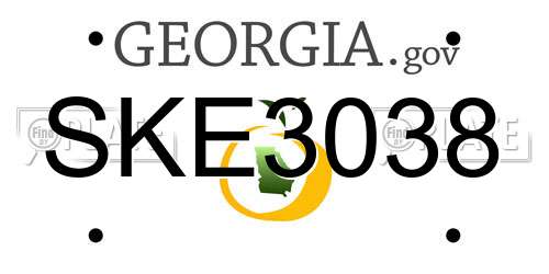 SKE3038 Georgia License Plate