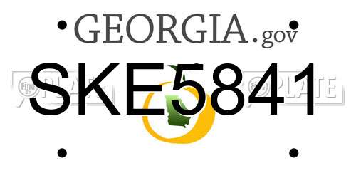 SKE5841 Georgia License Plate