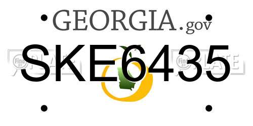 SKE6435 Georgia License Plate
