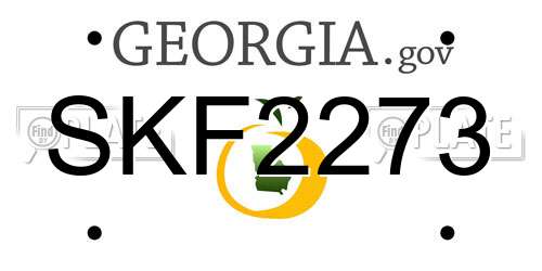 SKF2273 Georgia License Plate