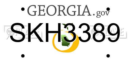 SKH3389 Georgia License Plate