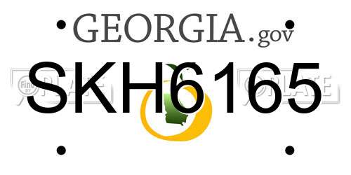 SKH6165 Georgia License Plate