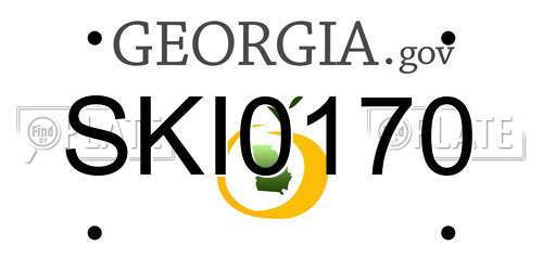 SKI0170 Georgia License Plate