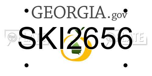 SKI2656 Georgia License Plate