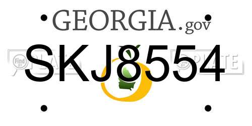 SKJ8554 Georgia License Plate