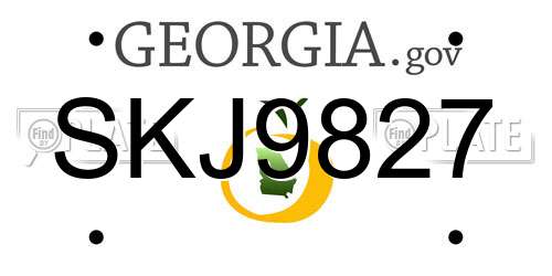 SKJ9827 Georgia License Plate