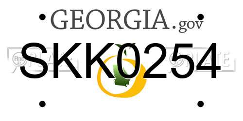 SKK0254 Georgia License Plate
