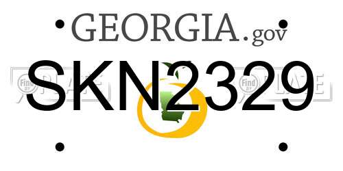 SKN2329 Georgia License Plate