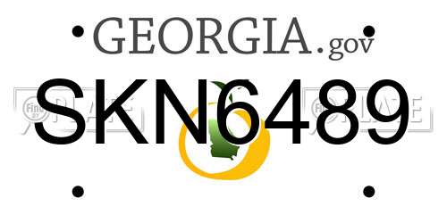 SKN6489 Georgia License Plate