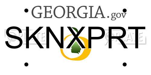 SKNXPRT Georgia License Plate