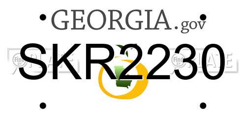 SKR2230 Georgia License Plate