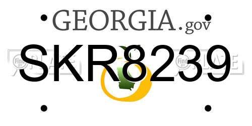 SKR8239 Georgia License Plate