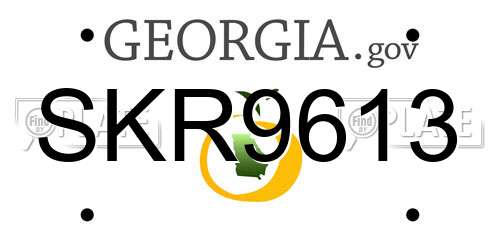 SKR9613 Georgia License Plate