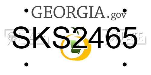 SKS2465 Georgia License Plate