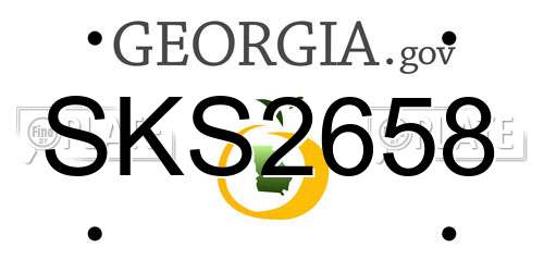 SKS2658 Georgia License Plate