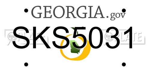 SKS5031 Georgia License Plate