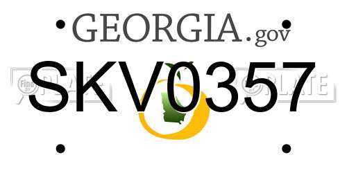 SKV0357 Georgia License Plate