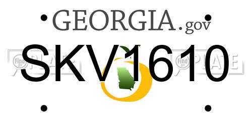 SKV1610 Georgia License Plate