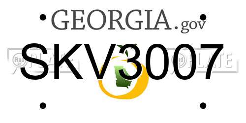 SKV3007 Georgia License Plate