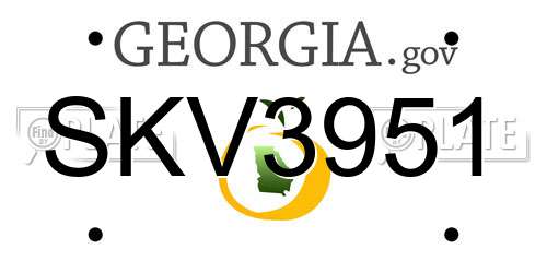 SKV3951 Georgia License Plate