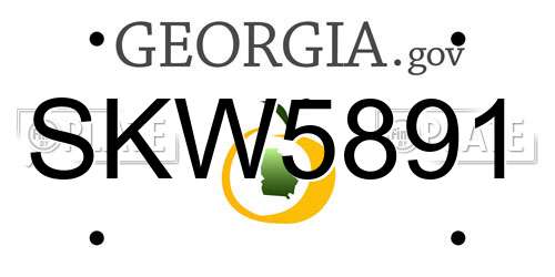 SKW5891 Georgia License Plate