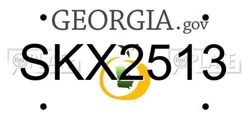 SKX2513 Georgia License Plate