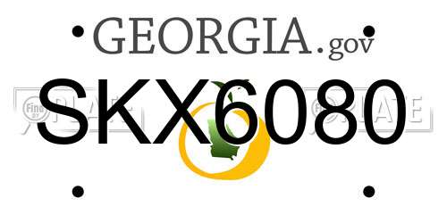 SKX6080 Georgia License Plate