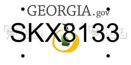 SKX8133 Georgia License Plate