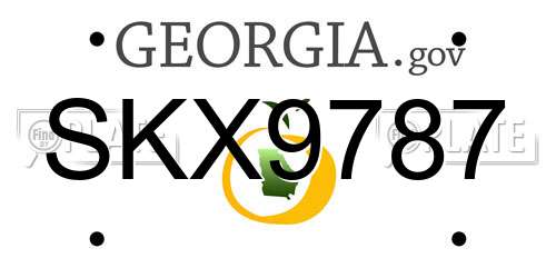 SKX9787 Georgia License Plate