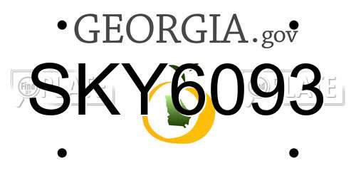 SKY6093 Georgia License Plate