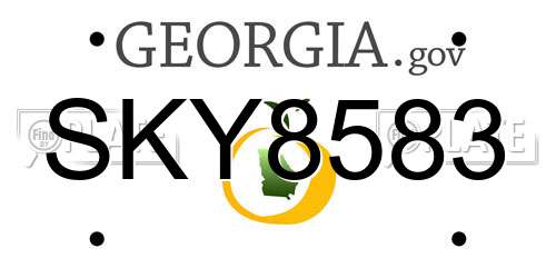 SKY8583 Georgia License Plate