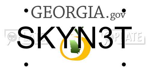 SKYN3T Georgia License Plate