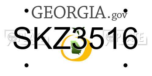 SKZ3516 Georgia License Plate