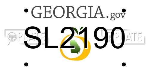 SL2190 Georgia License Plate