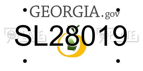 SL28019 Georgia License Plate